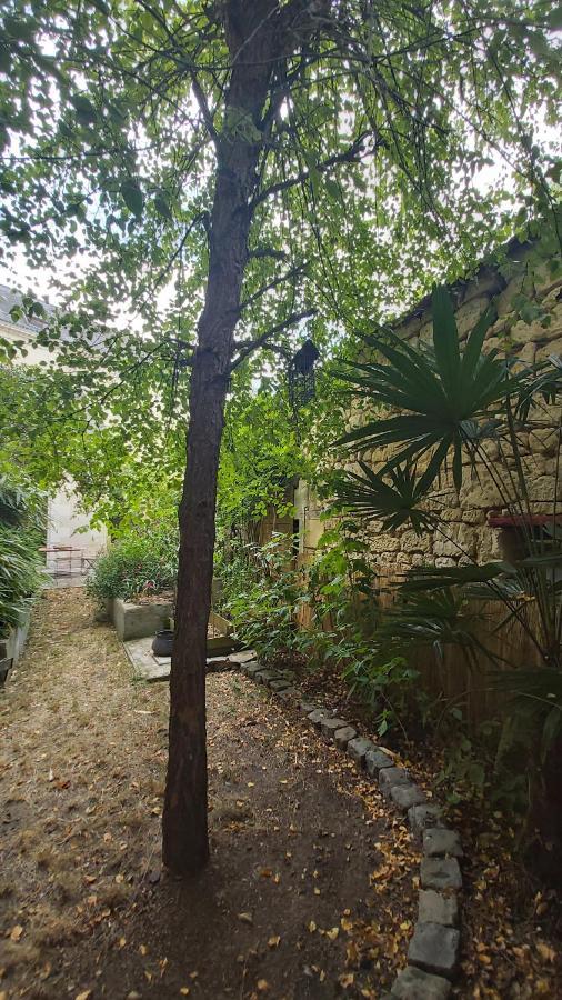 La Maison De Louise Chinon #Chateaux #Vignobles Bagian luar foto