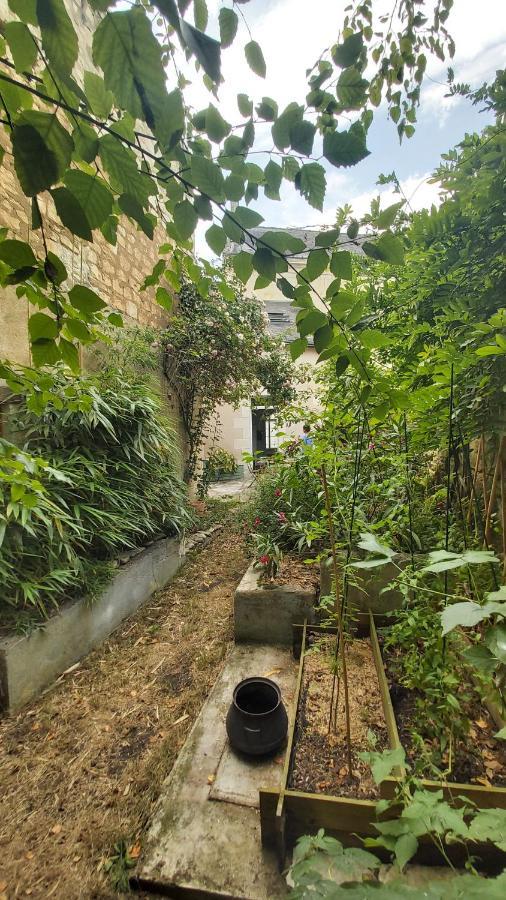 La Maison De Louise Chinon #Chateaux #Vignobles Bagian luar foto